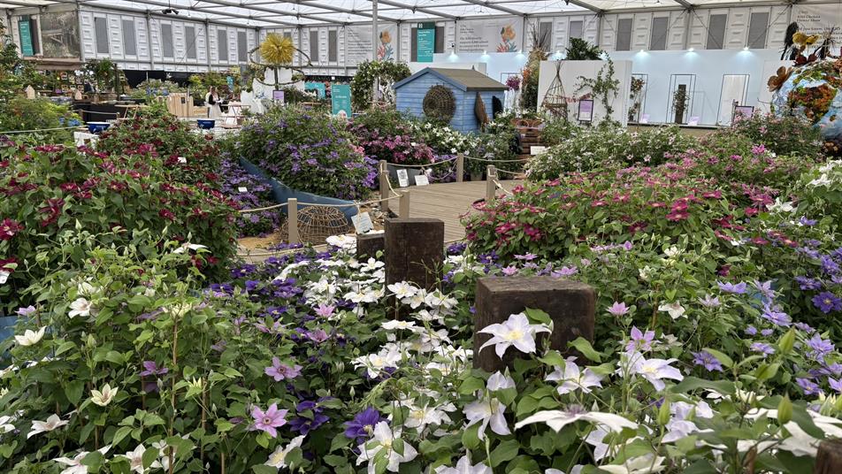 Evison